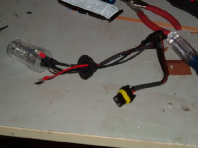 DSCF5806_ab1bee482157bcf42211a903b6cbeb073ce34e15.jpg