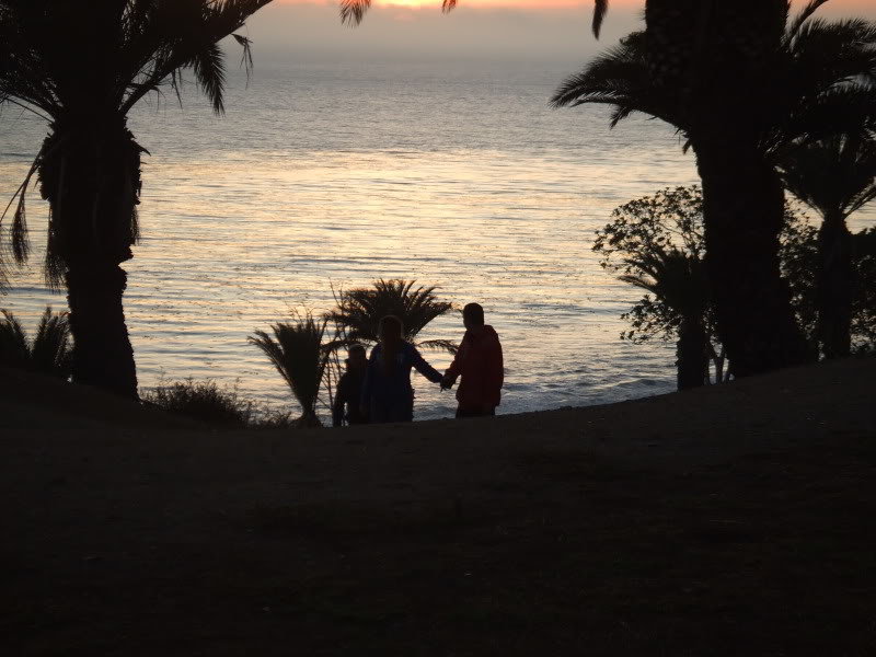 DSCF5815_56471617286d31b7e1645e6bba17f73a5448a863.jpg