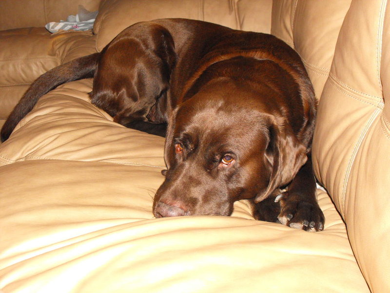 DSCF6037.jpg