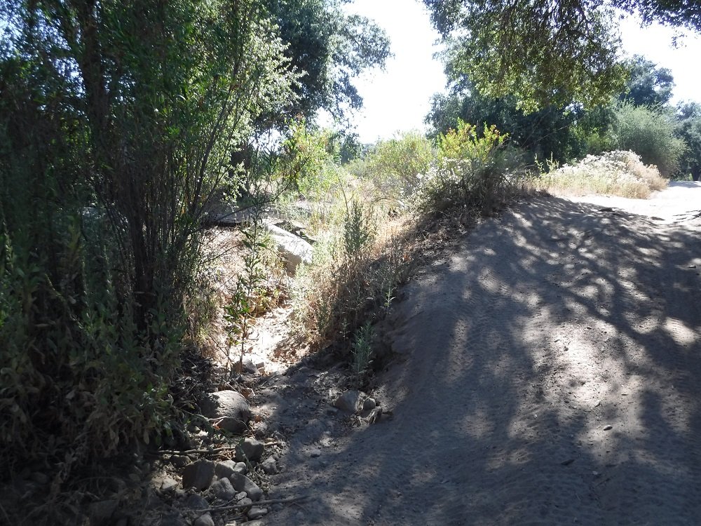 DSCF6455.jpg