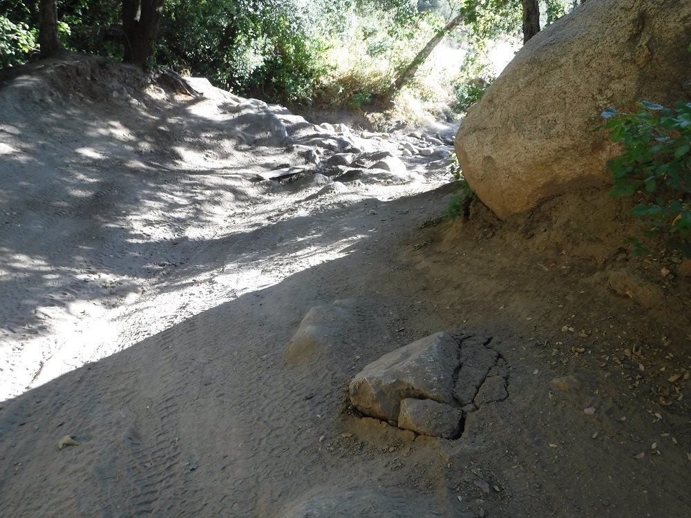 DSCF6527.jpg
