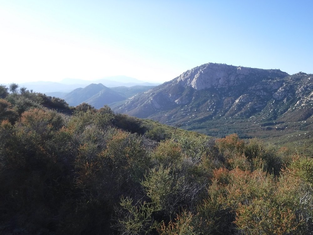 DSCF6554.jpg