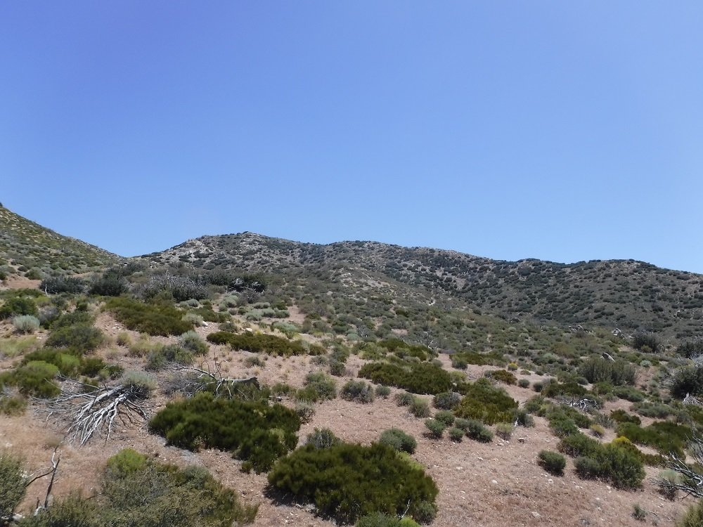 DSCF6606.jpg
