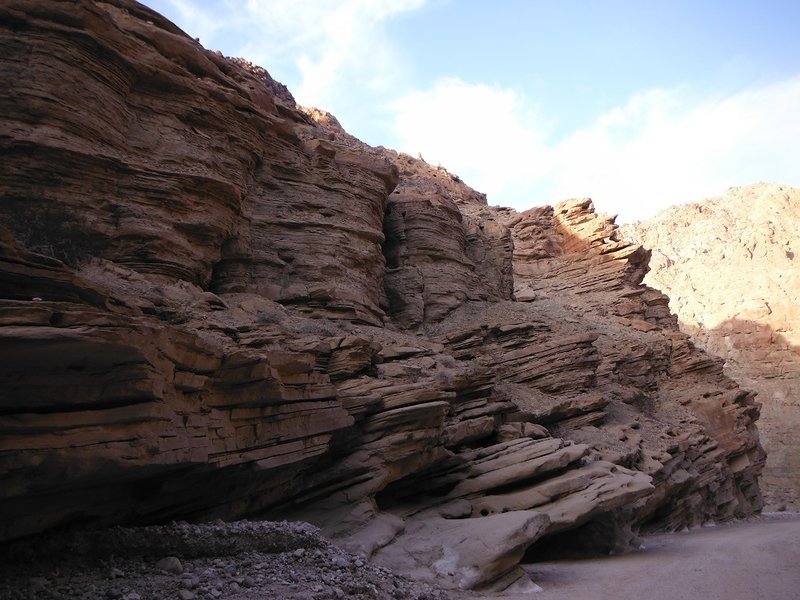 DSCF6637.jpg