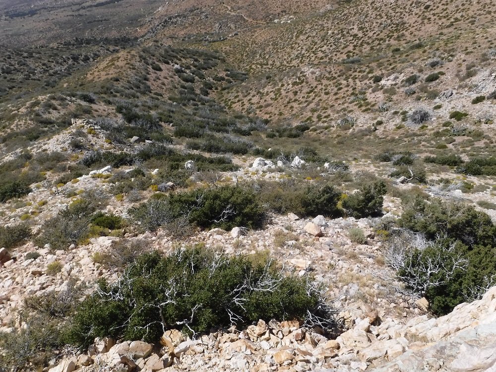 DSCF6689.jpg