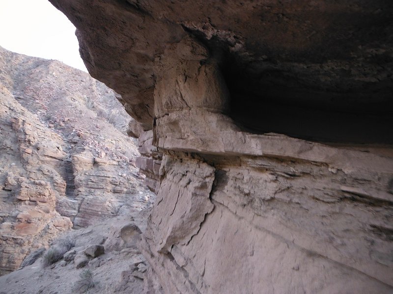 DSCF6694.jpg