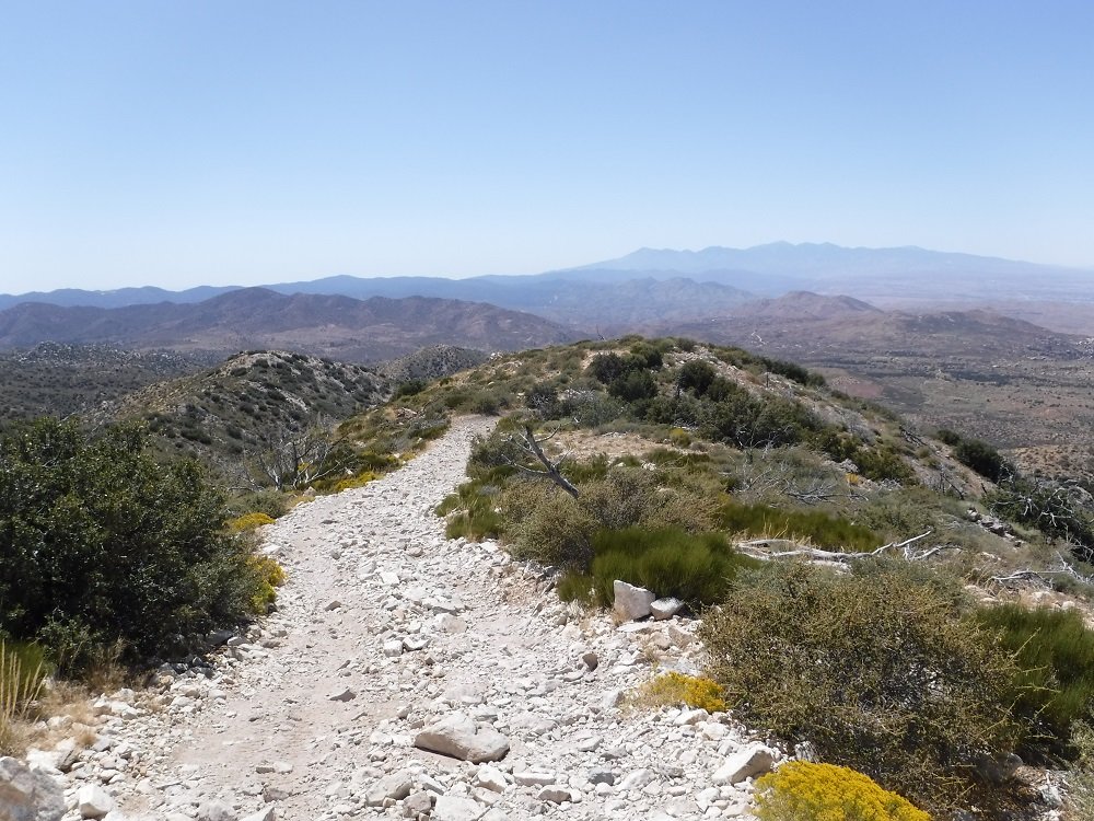 DSCF6723.jpg