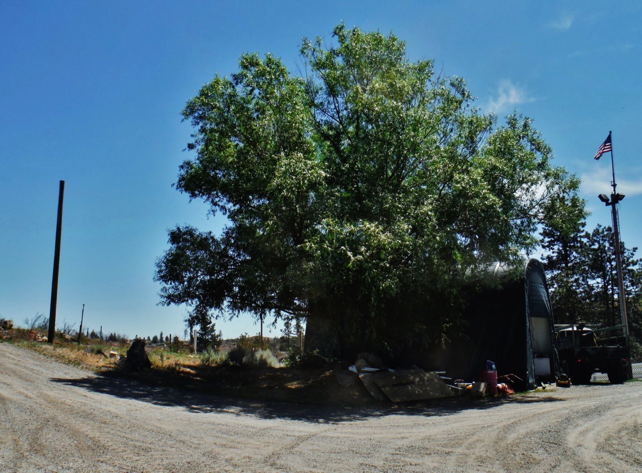 DSCF6788.jpg