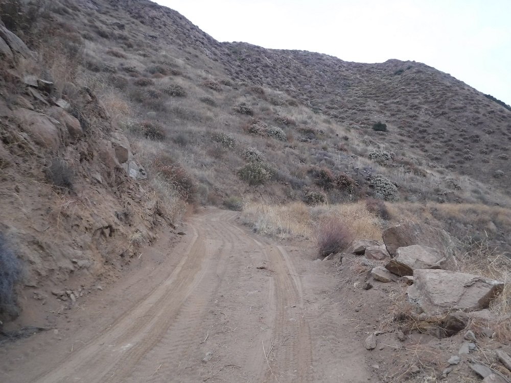 DSCF6914.jpg