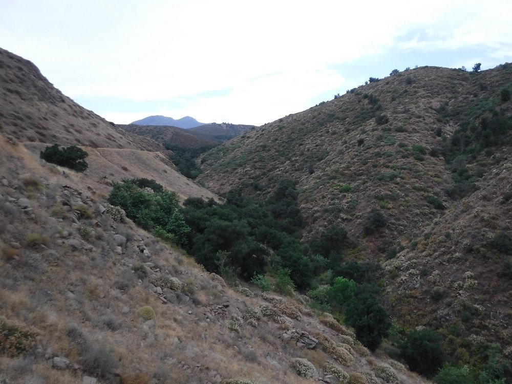 DSCF6917.jpg