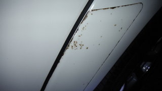 DSCF6923.jpg