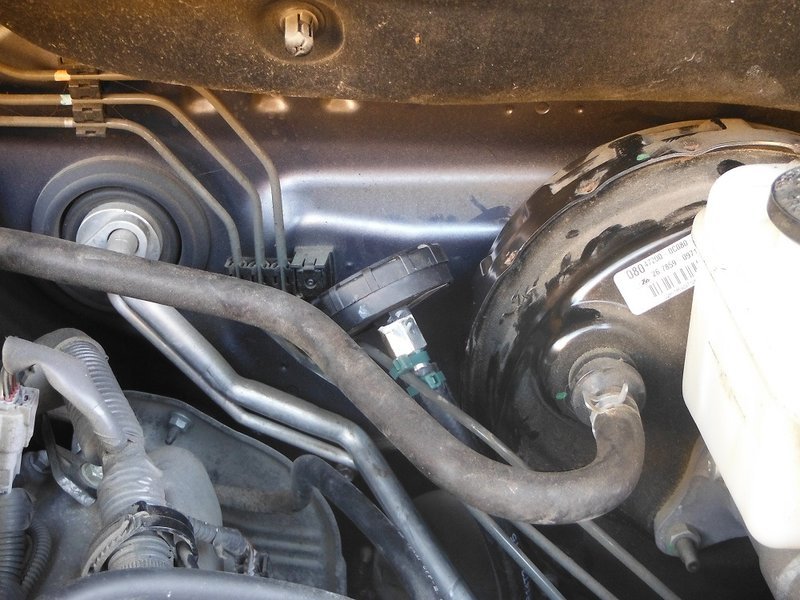 DSCF6964.jpg