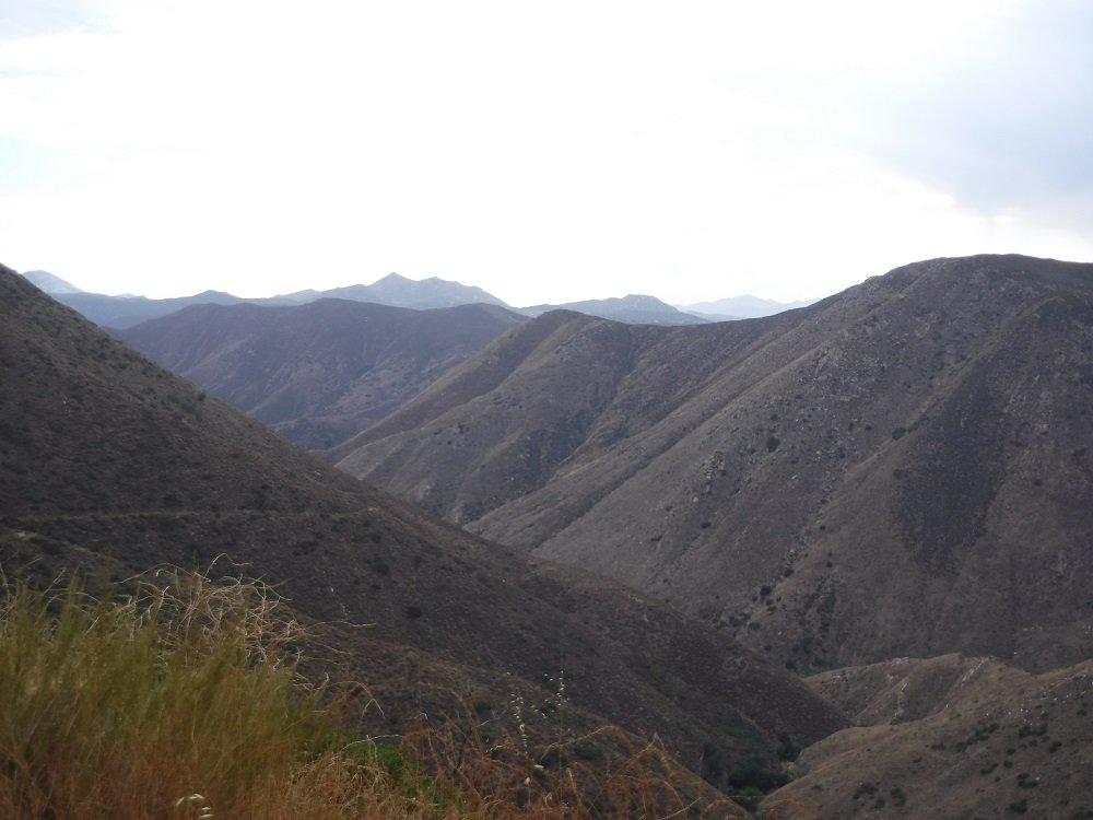 DSCF7028.jpg