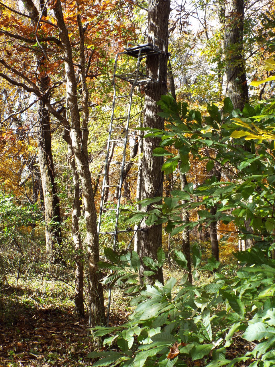 DSCF7031.jpg