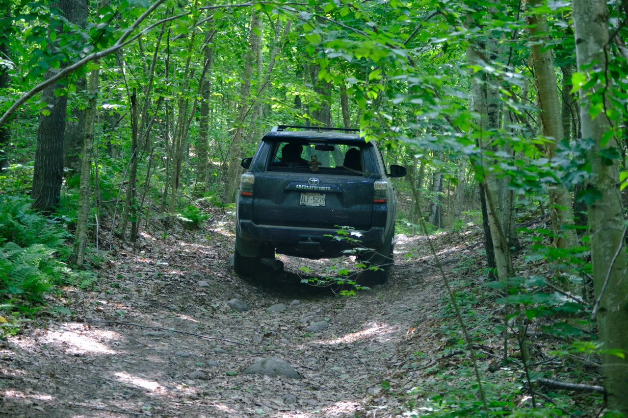 DSCF7039.jpg