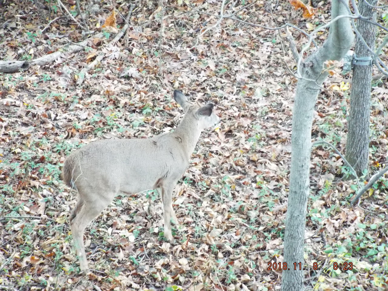 DSCF7050.jpg