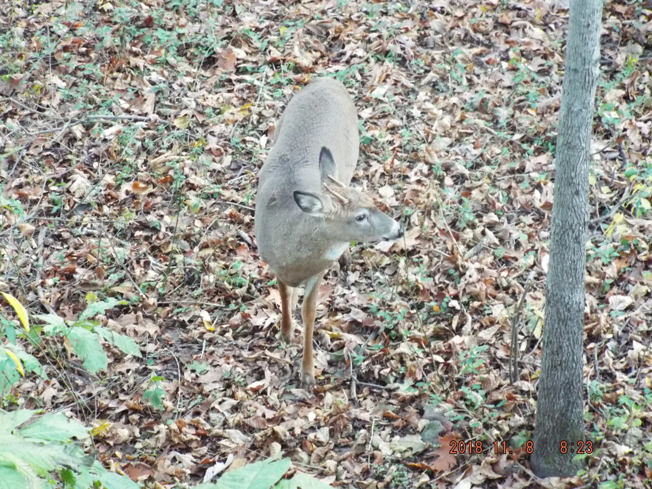 DSCF7052.jpg