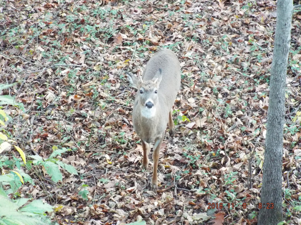 DSCF7053.jpg