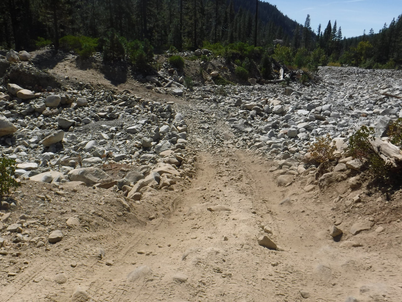DSCF7139.jpg