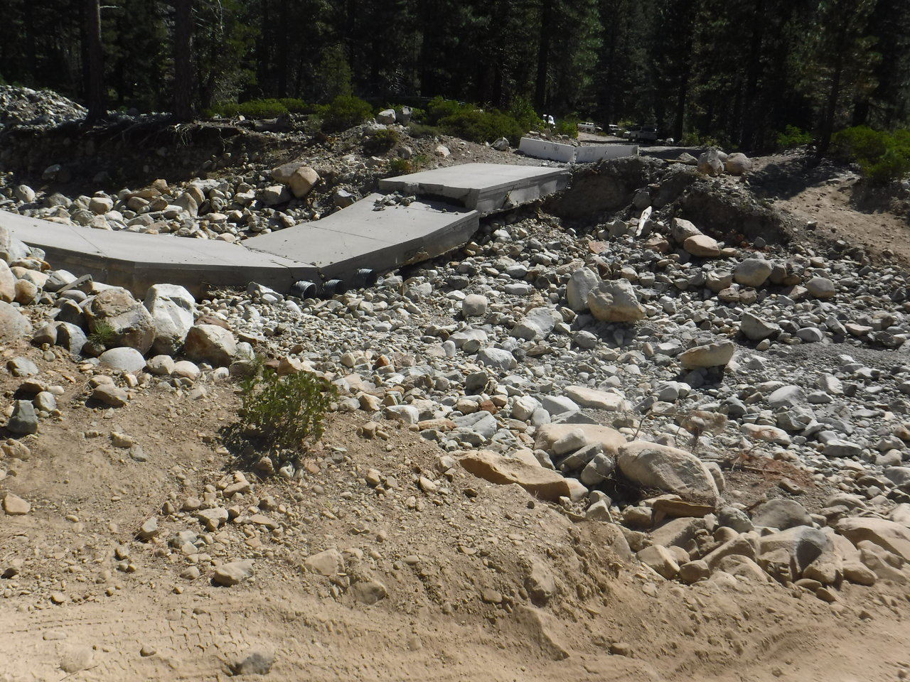 DSCF7140.jpg