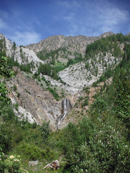 DSCF7447.jpg