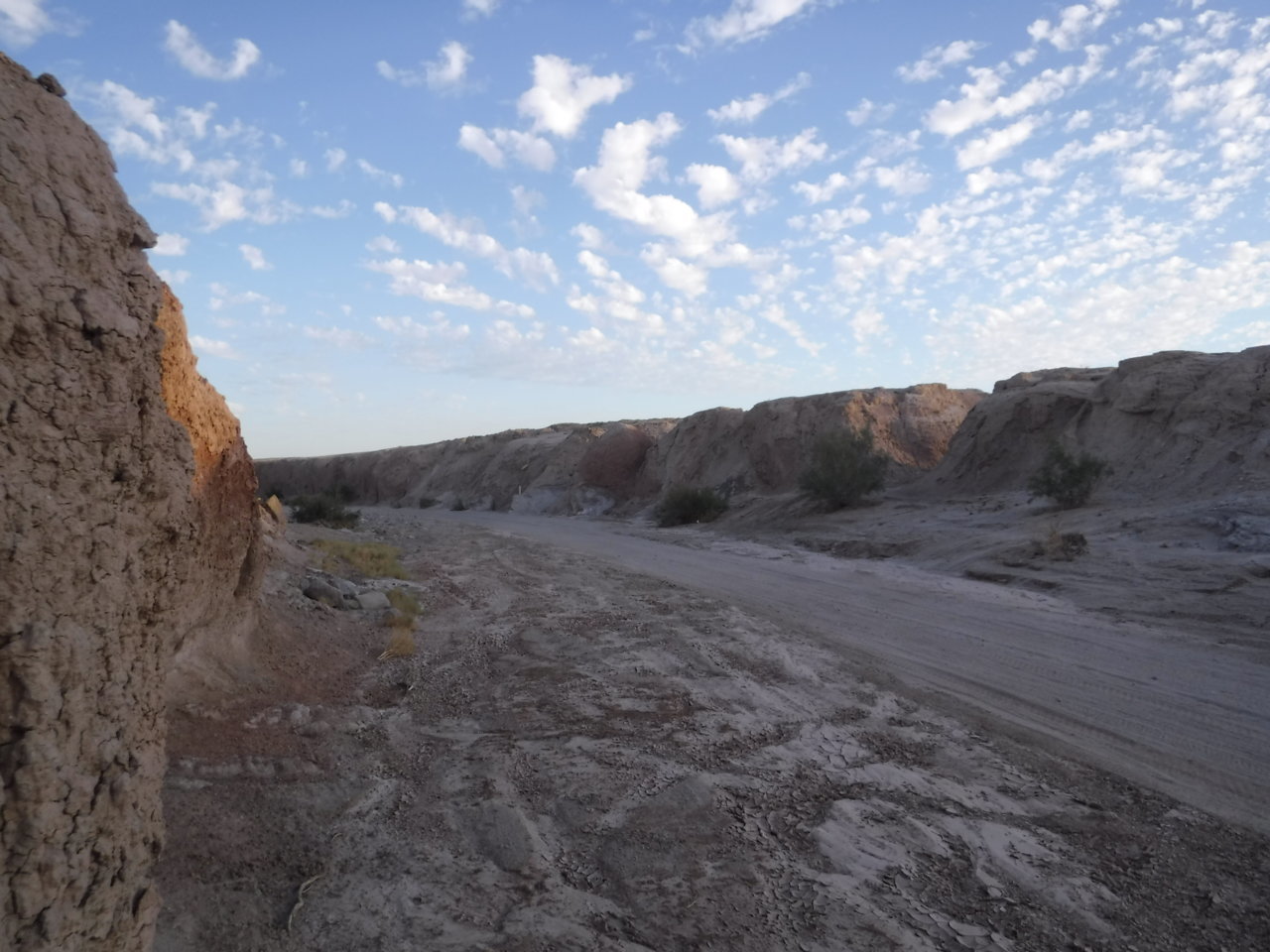 DSCF7619.jpg