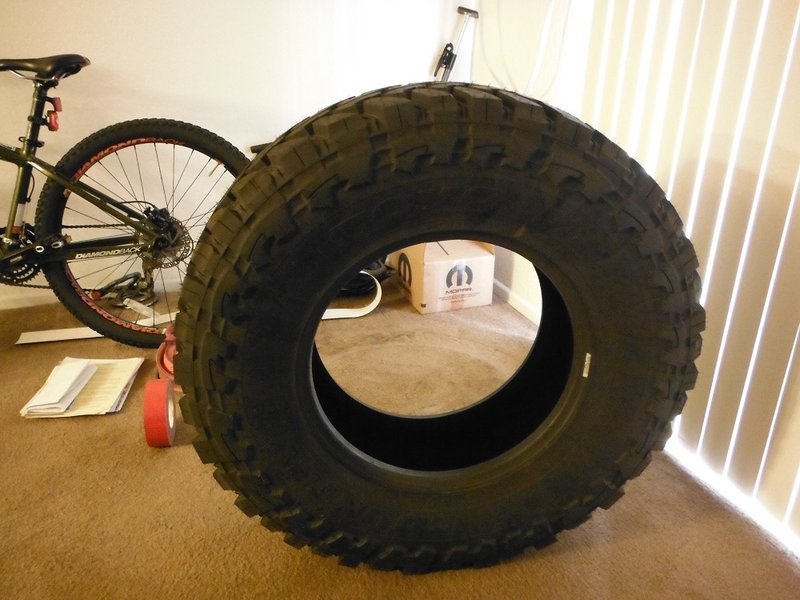 DSCF7641.jpg