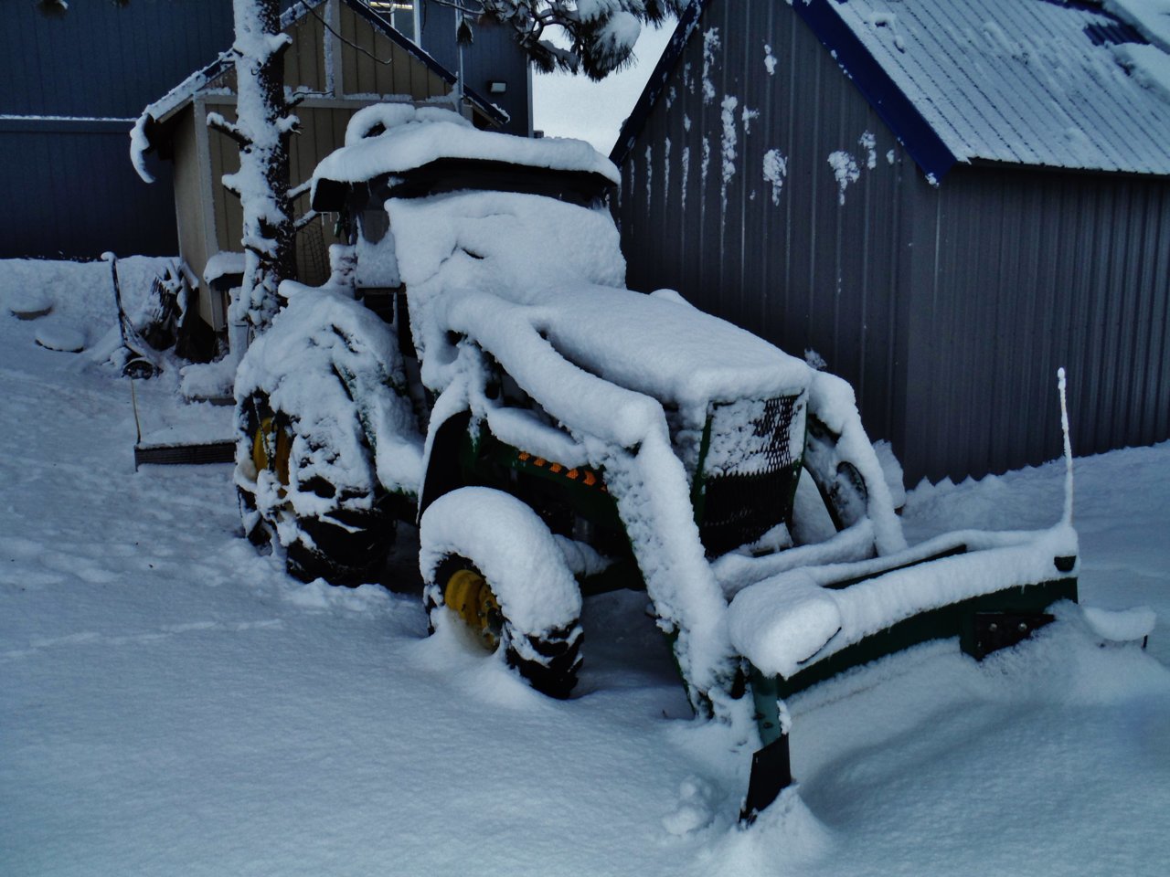 DSCF7941.jpg