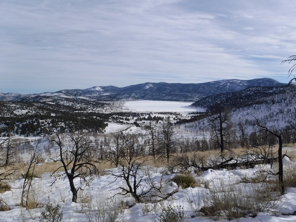 DSCF7943.jpg