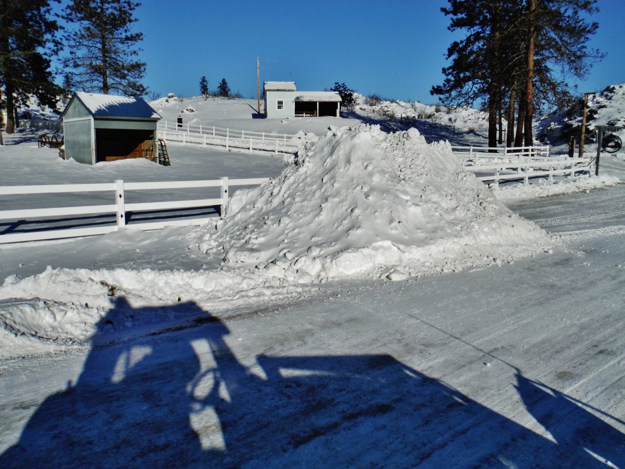 DSCF8020.jpg