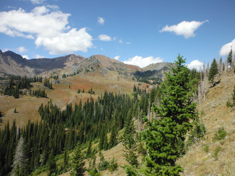 DSCF8037.jpg