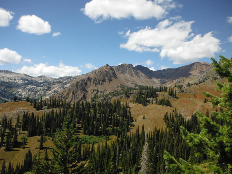 DSCF8038.jpg