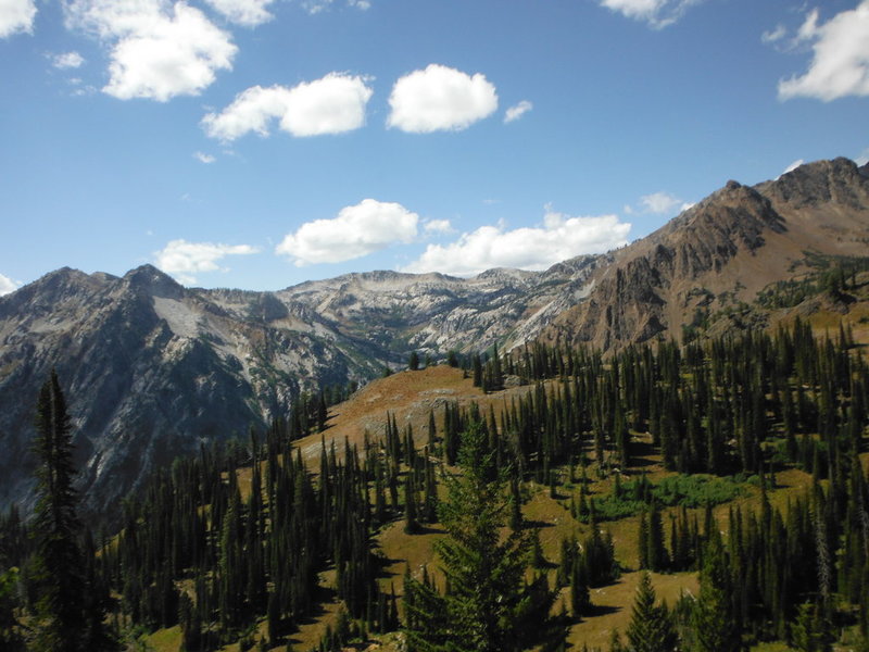 DSCF8039.jpg