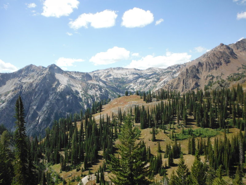 DSCF8040.jpg