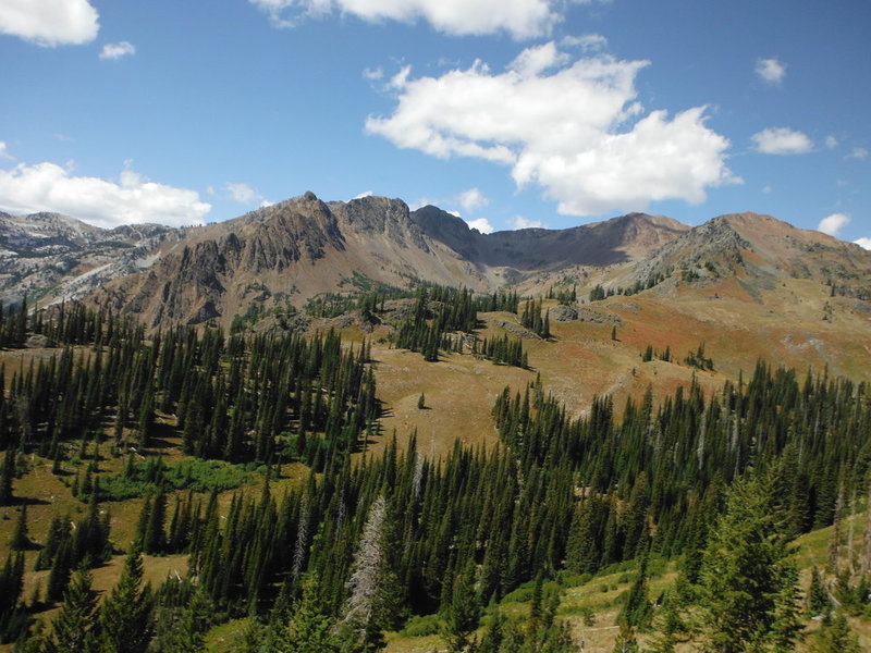 DSCF8041.jpg
