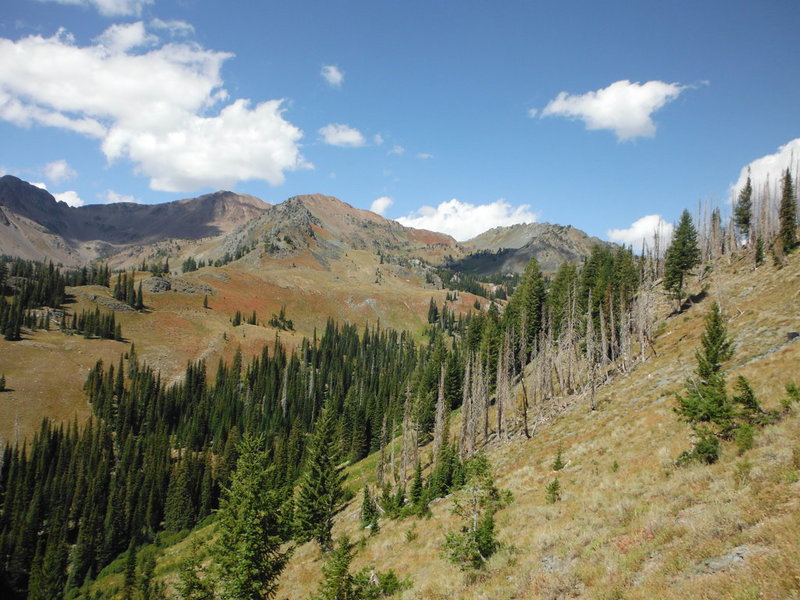 DSCF8042.jpg