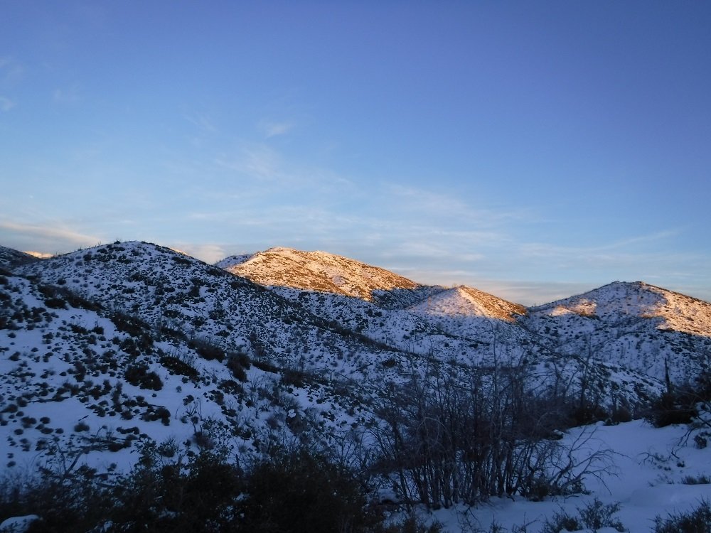 DSCF8125.jpg