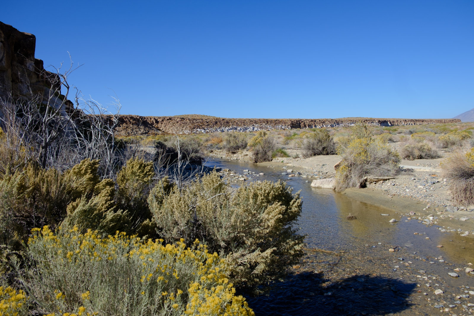 DSCF8180.jpg