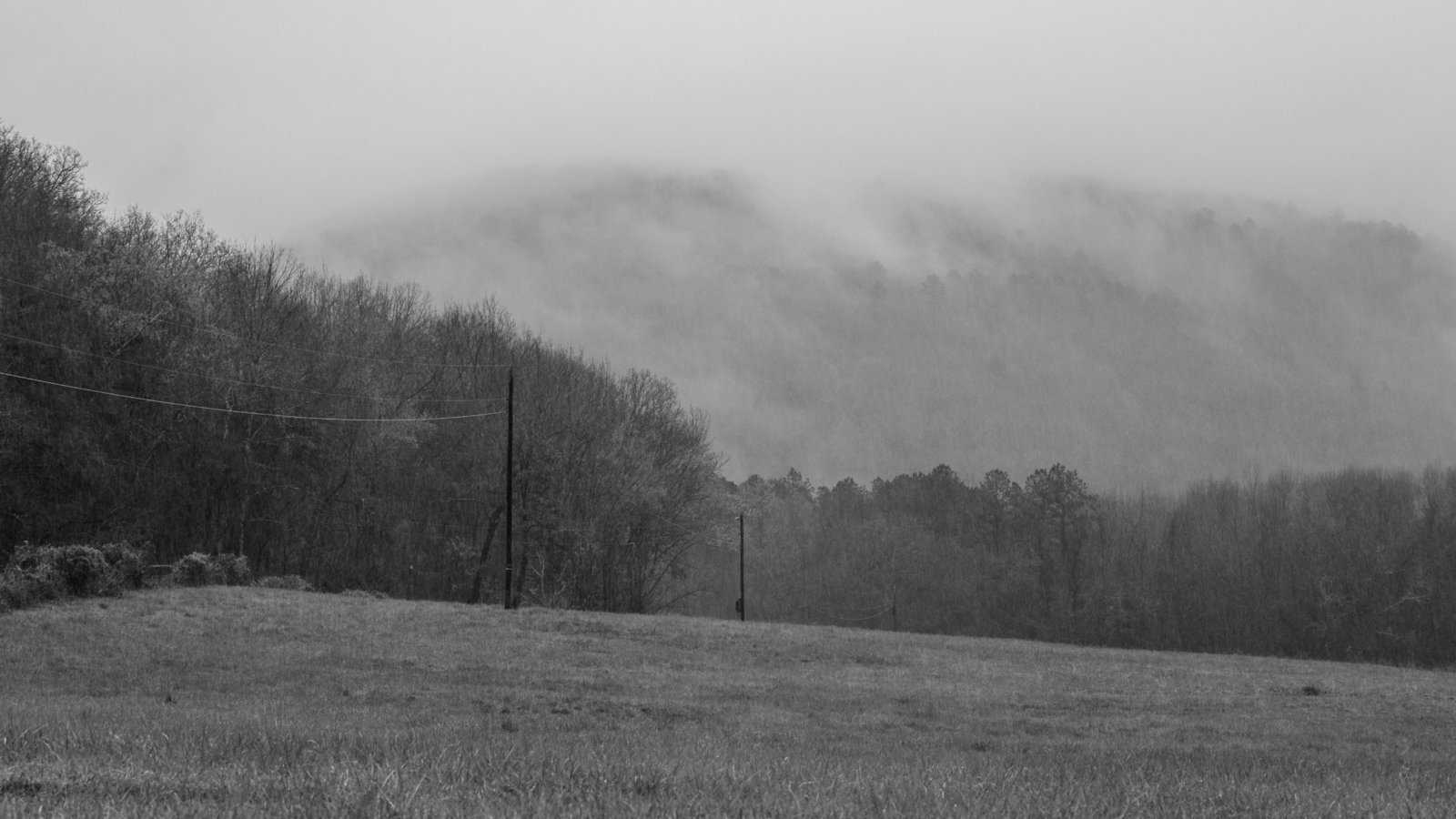 DSCF8457.jpg