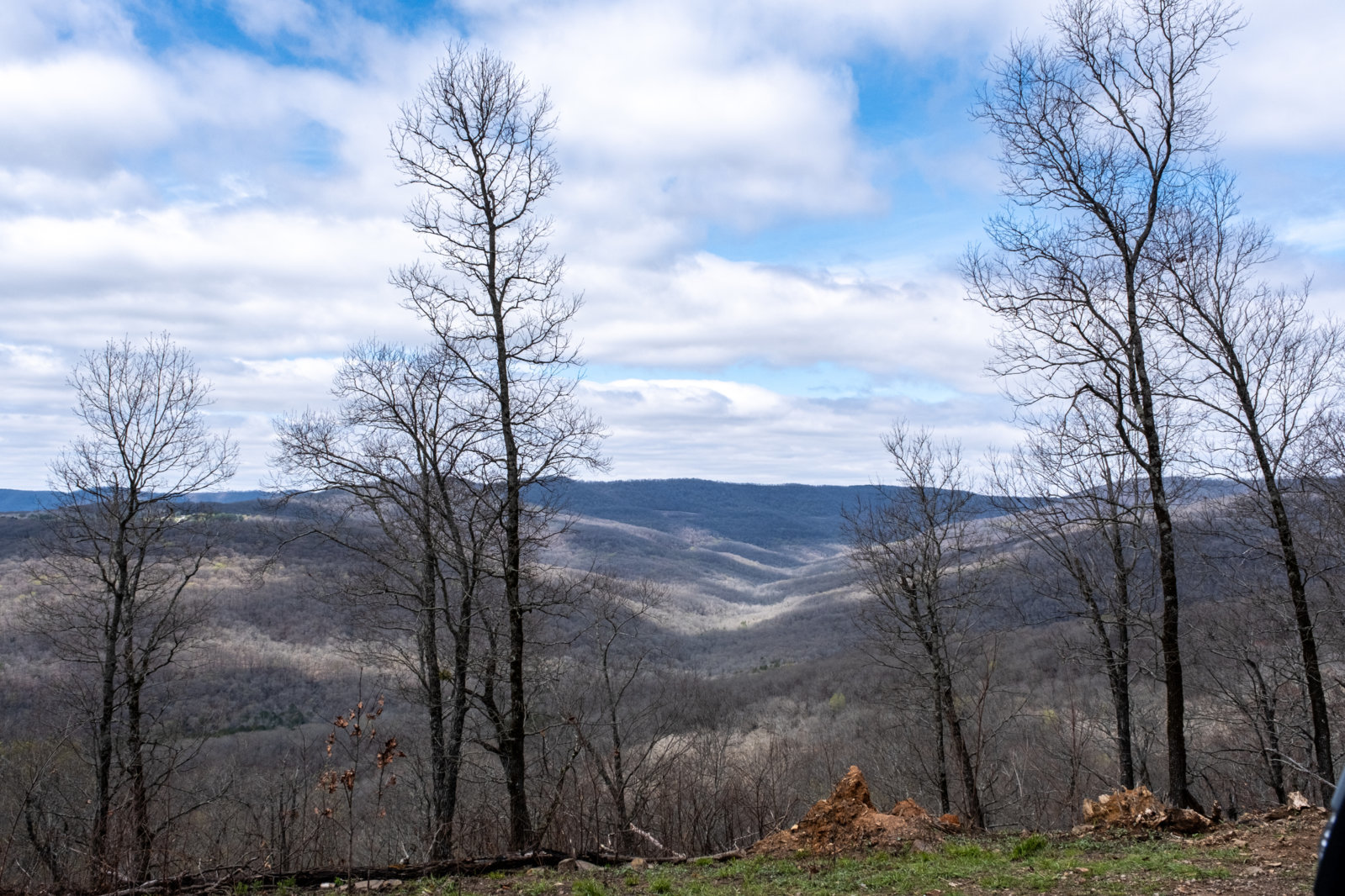 DSCF8475.jpg