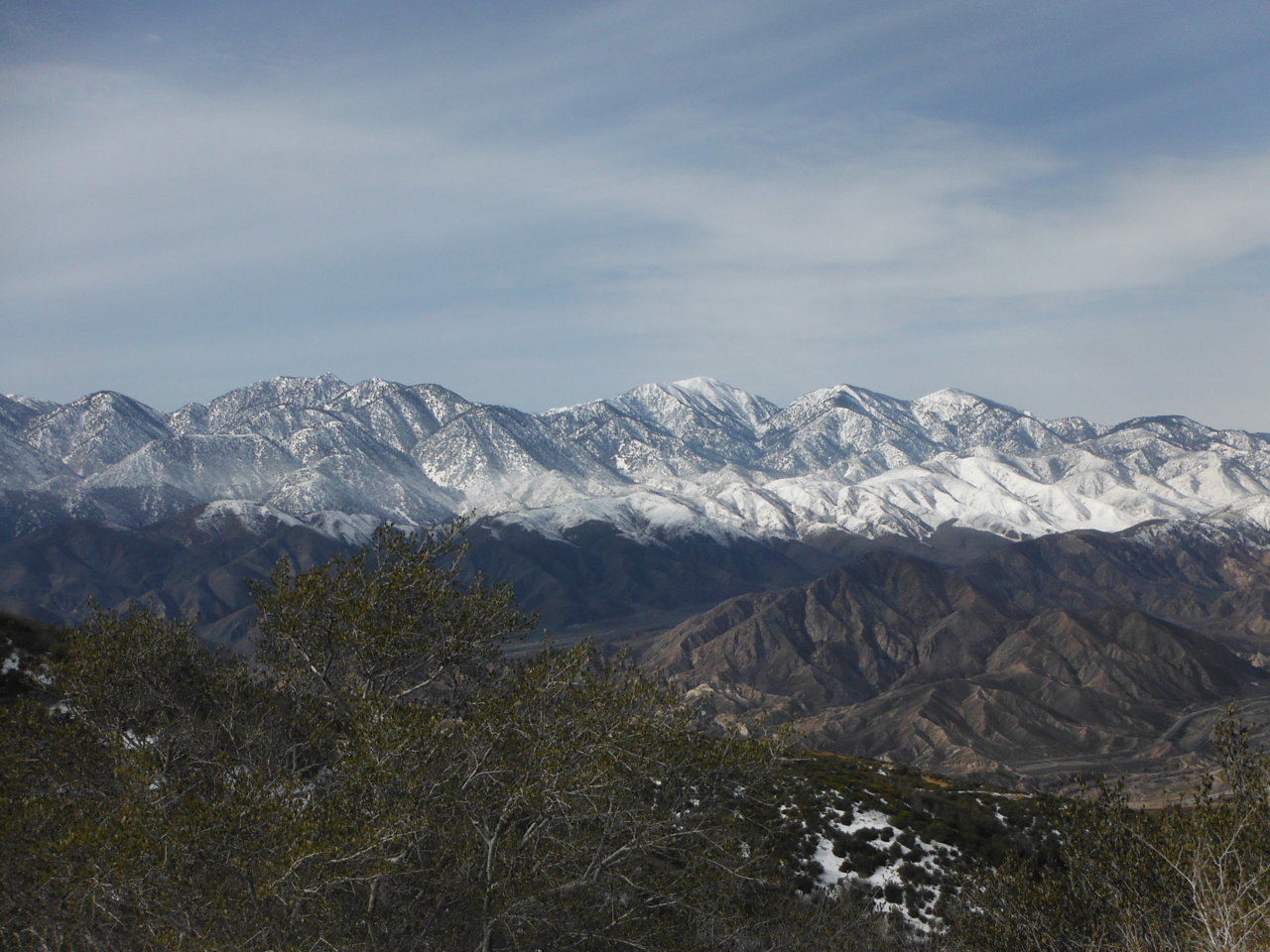 DSCF8619.jpg