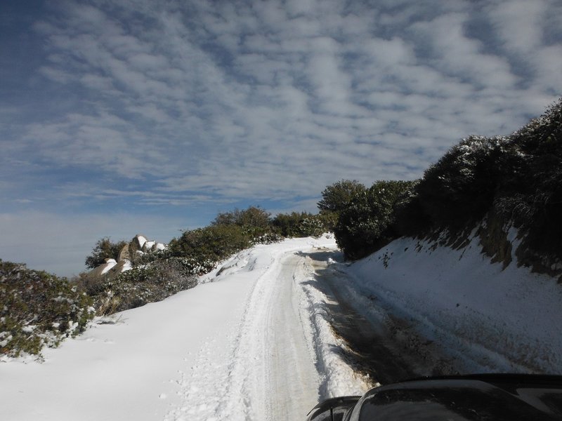 DSCF8629.jpg