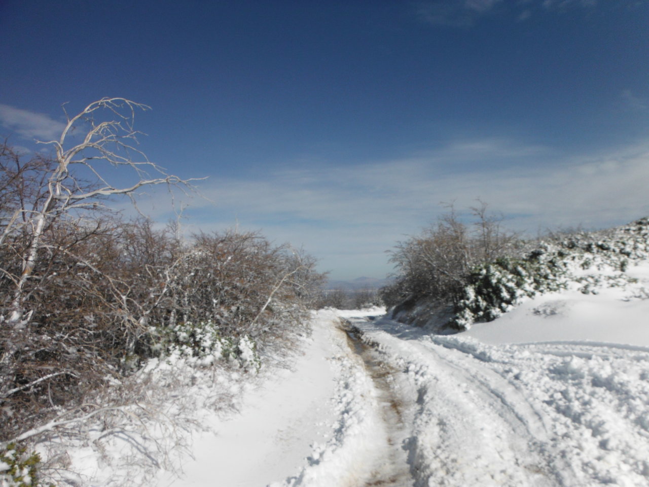 DSCF8635.jpg