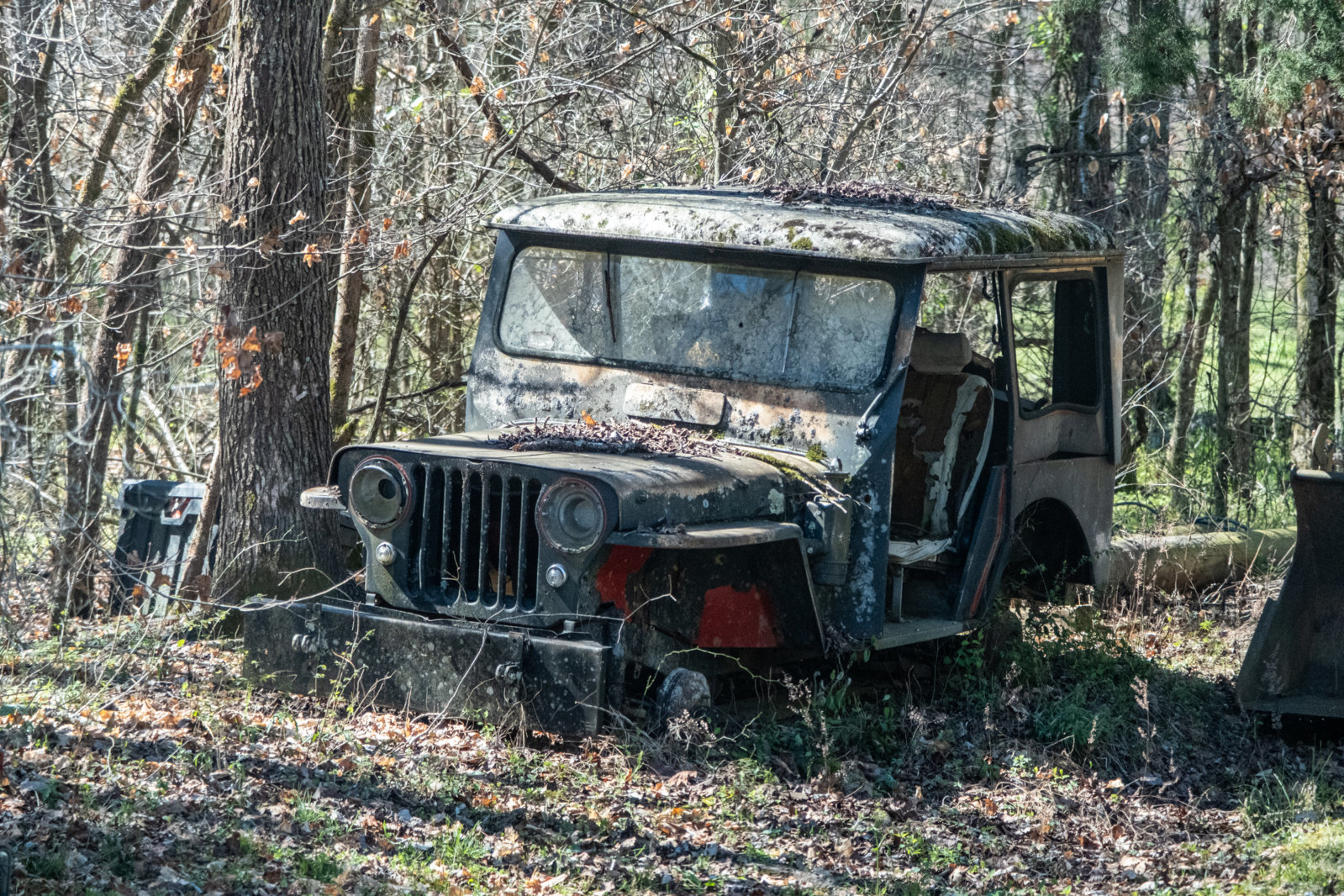 DSCF8658.jpg