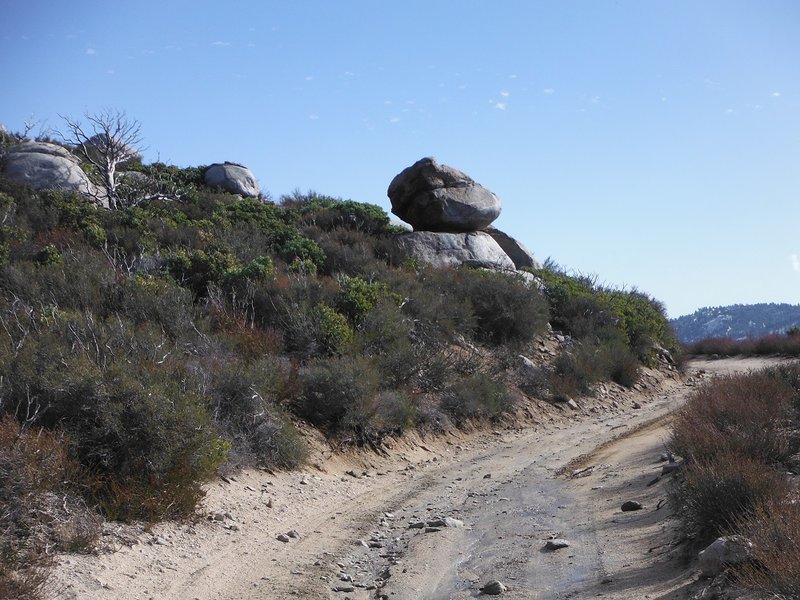 DSCF8661.jpg