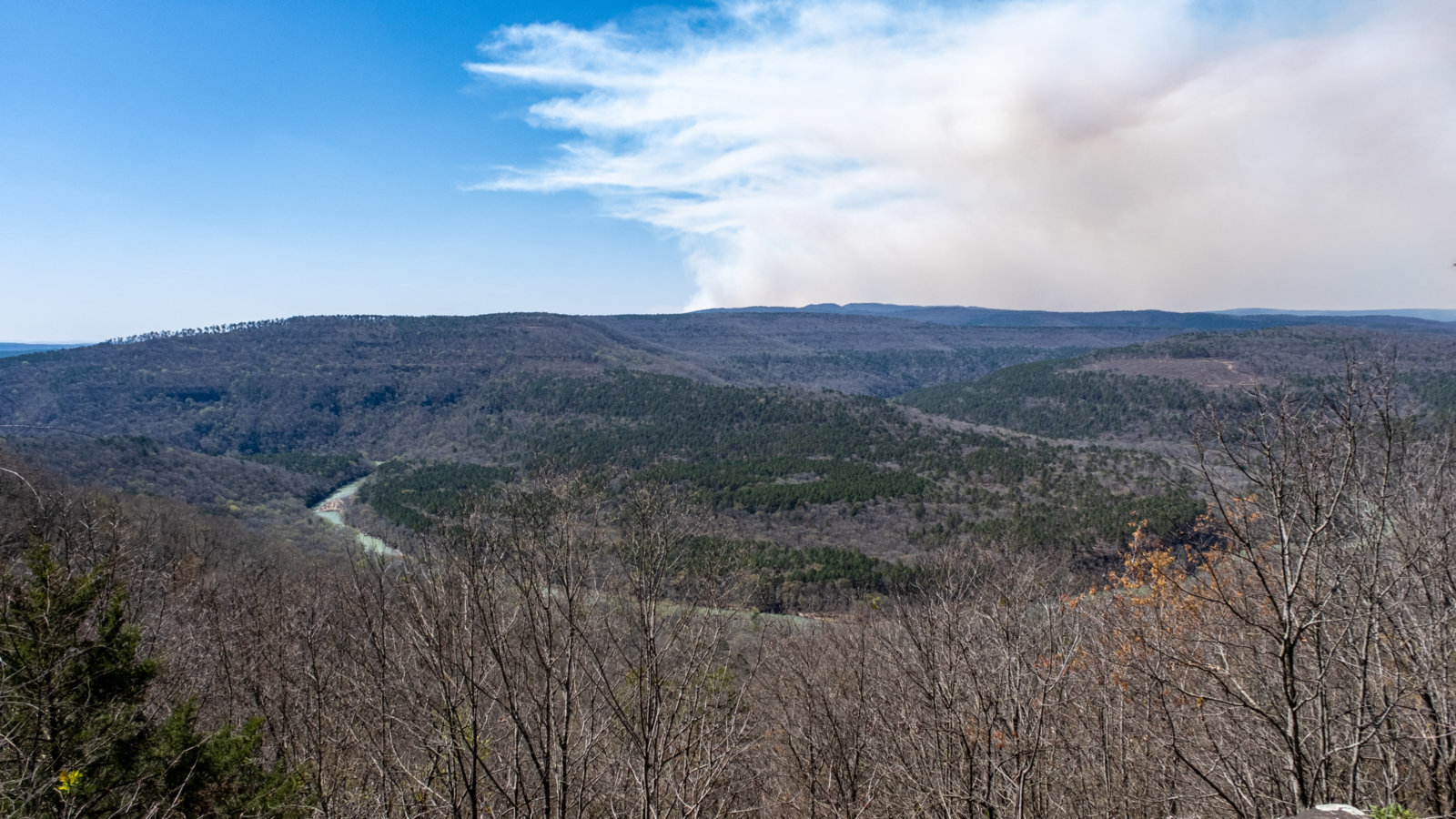 DSCF8678.jpg
