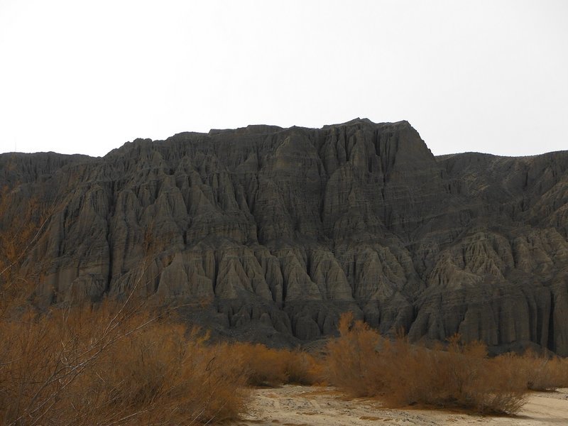 DSCF8732.jpg