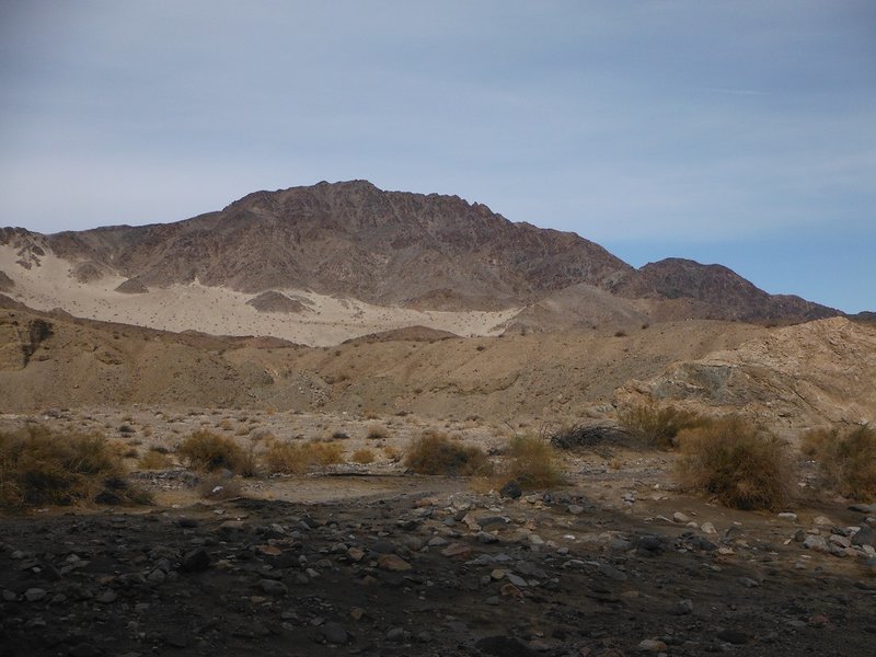 DSCF8740.jpg