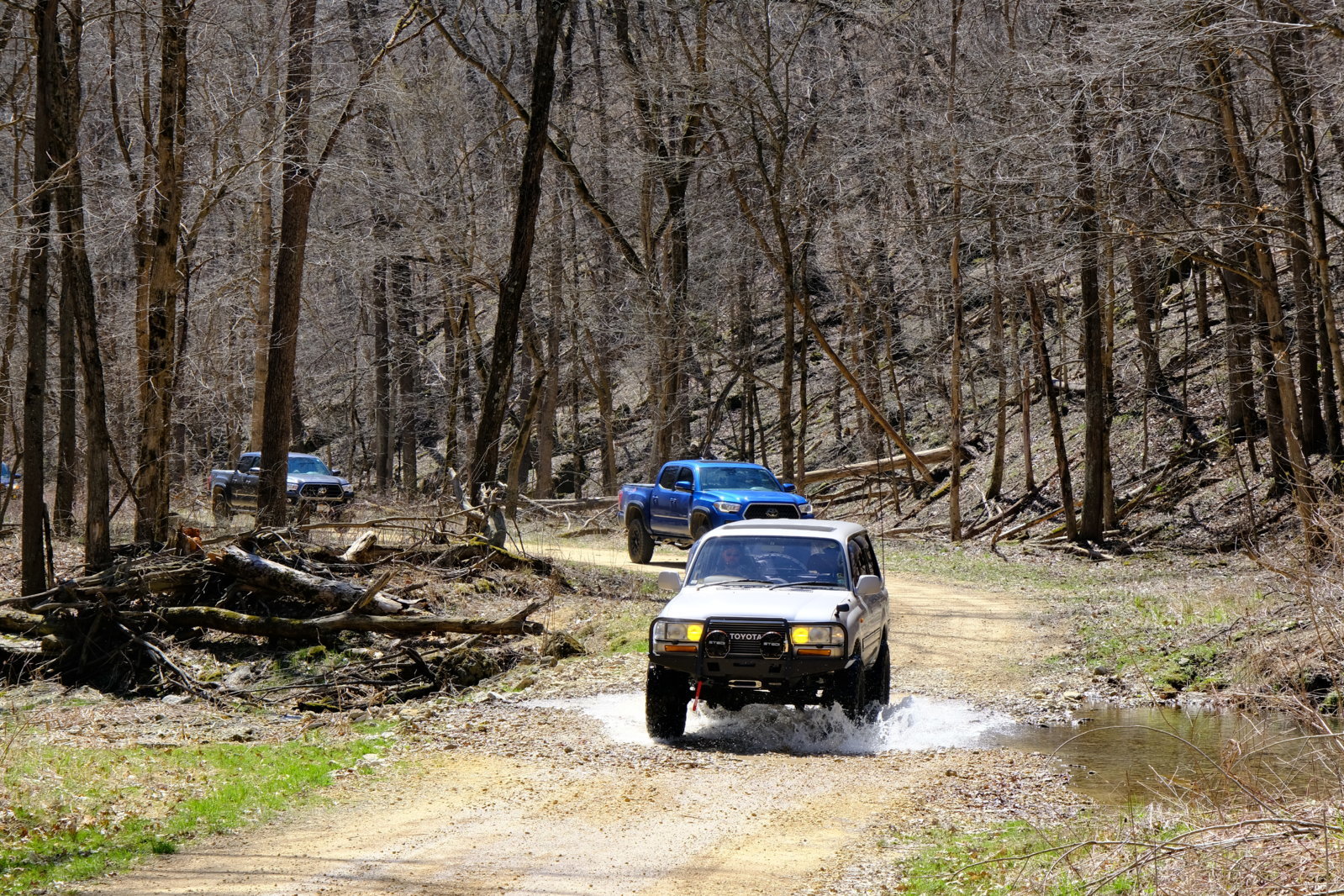 DSCF8783.jpg