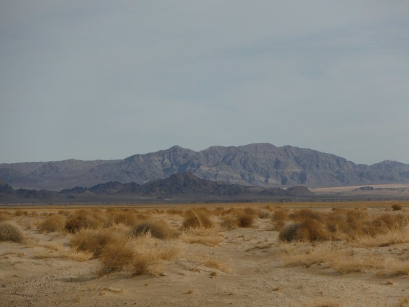 DSCF8800.jpg